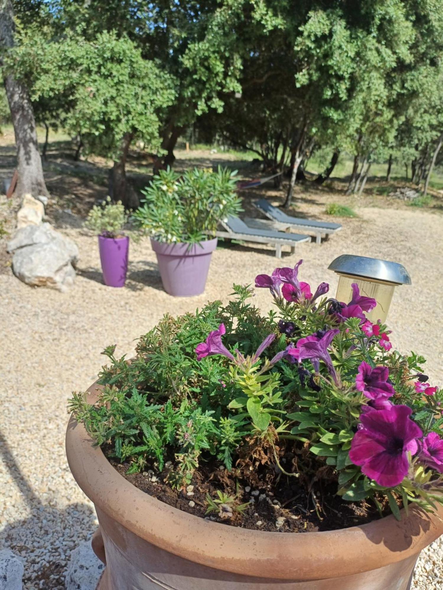 La Coliniere, Chambre D'Hotes Panzió Aix-en-Provence Kültér fotó